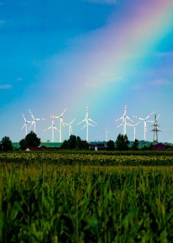 pexels-nandor-6604984